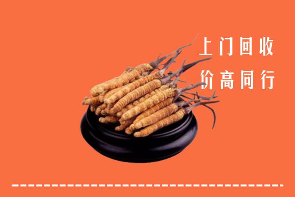 收购行情：巴音郭楞和硕县冬虫夏草回收多少钱每克
