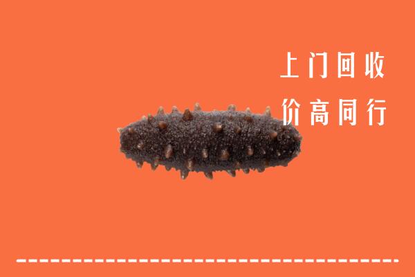 巴音郭楞和硕县回收海参