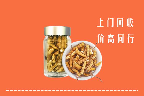 巴音郭楞和硕县回收冬虫夏草