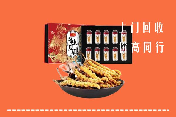 巴音郭楞和硕县回收虫草